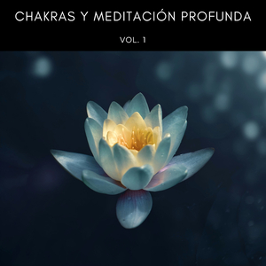 Música Para Estudiar