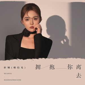 拥抱你离去 (DJ九零版)