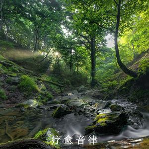 柔缓白噪音（轻音乐）