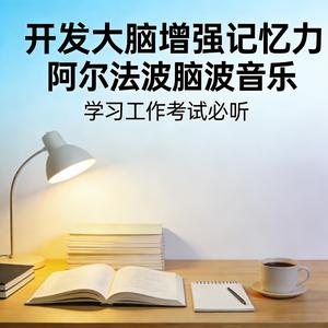 增强记忆力 学习工作专用