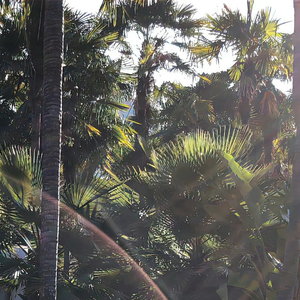 温阳漫路（治愈歌曲）