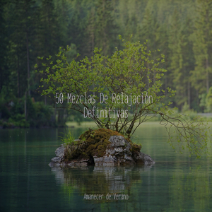 Valsa del Espejismo Fugaz