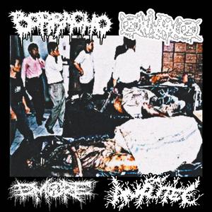 GANGRENOUS VISCERA SOAKED IN SYPHILITIC WOUND FLUID