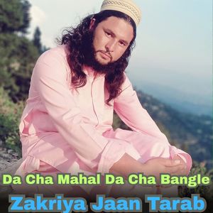 Habibullah Turabi Pashto Nazam