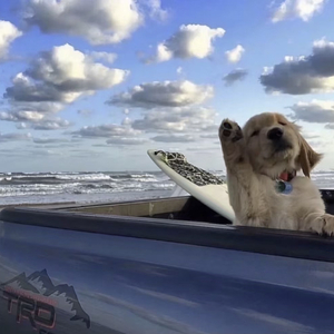 北京东路的日子.mp3