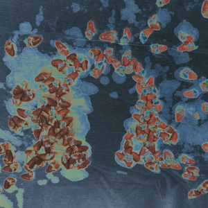 Сердечки Лопнули