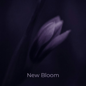 New Bloom