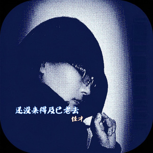 还没来得及老去 (伴奏版)