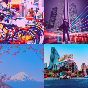 抚慰的重点回忆