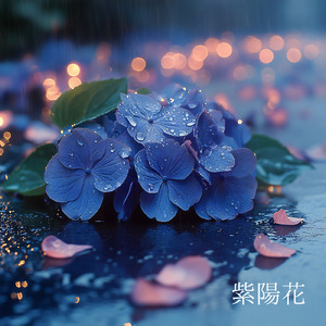 紫陽花