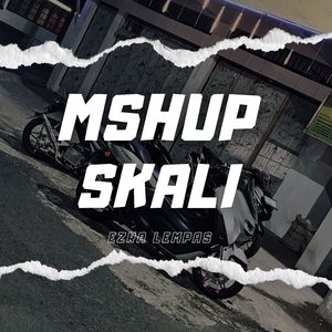 MSHUP SKALI