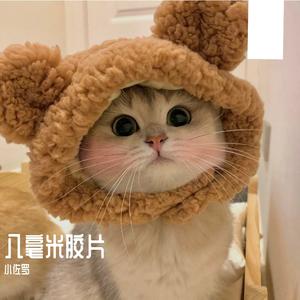 宝藏