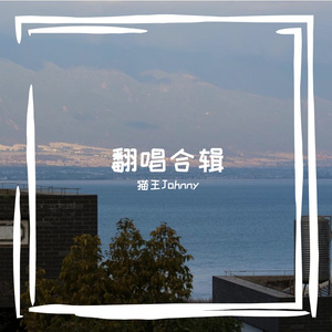 安眠药（cover 张禄籴）.mp3