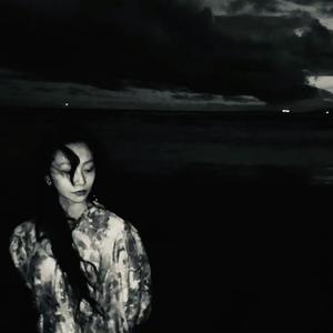 他们的痛苦是如此短暂而轻柔，巨大的海潮迅速吞没了我。