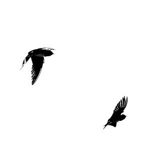 我们再见会是哪年哪月哪一天