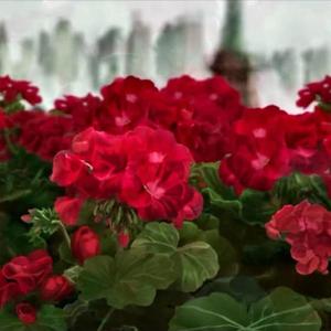 直到日落(cover:Humbert Humbert)