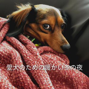 Elegant Backdrops for Loose Relaxation