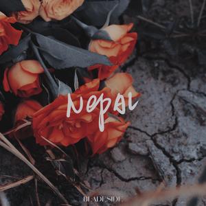 NEPAL(Never End Peace And Love)