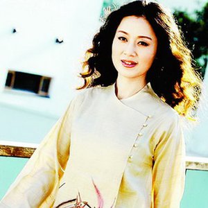 黄梅戏 - 龙女 龙女诉请 黄新德