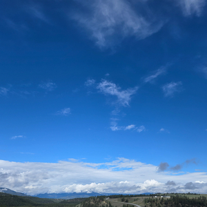 A New Journey Begins