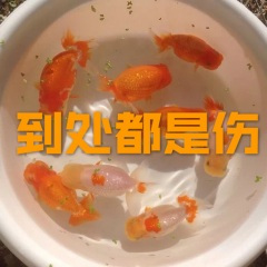 抚迁窟为佑