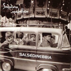 Salsedinebbia