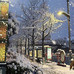 WinterLove