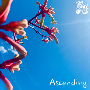 Ascending