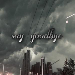 say goodbye