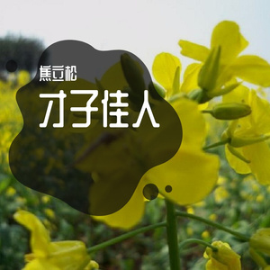 良辰美景（佳人）