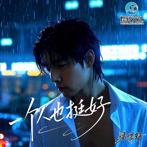 一个人也挺好(DJ劲爆版)