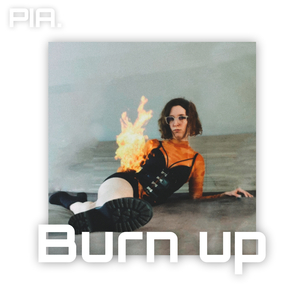 Burn Up
