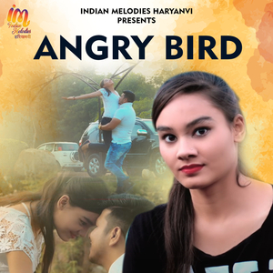Angry Bird