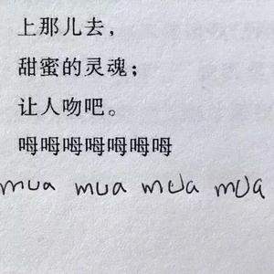 【免费可商用】Free“ 年 华 ”