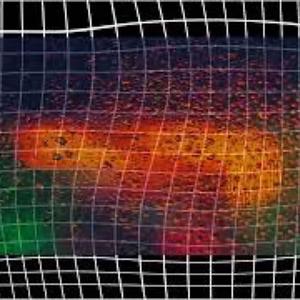 I'll Have the House w// MuShrooms