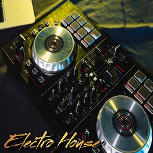 ELECTROHOUSE