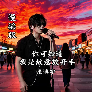 你可知道我是故意放开手-慢摇版