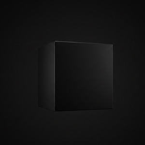 ブラックボックス