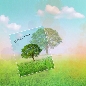 단비 Sweet Rain