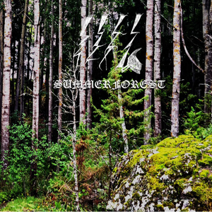 Summerforest