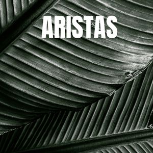 ARISTAS