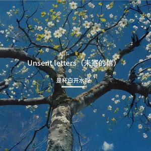 Unsent letters（未寄的信）