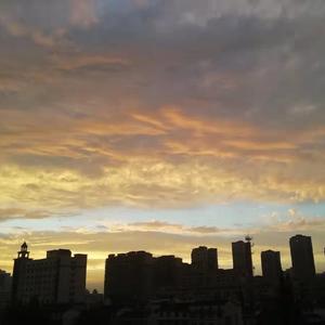 衬衫的价格定格在了夏天