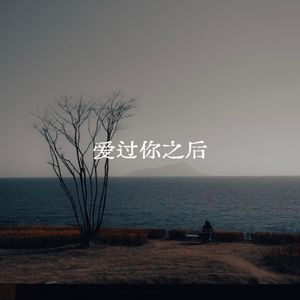 爱过你之后