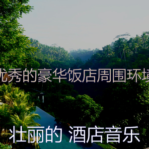 温和豪华饭店梦想