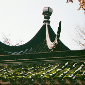 大爱仙尊v5（十年人间热播版）