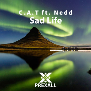 Sad Life