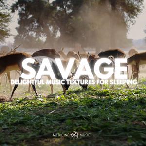 Indomitable (Delightful Music Textures For Sleeping)