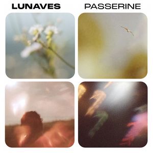 Passerine