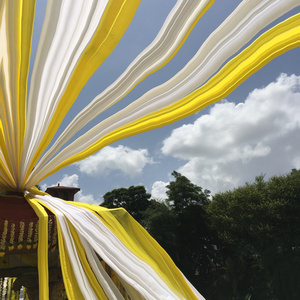 La pregunta de sus ojos